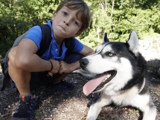 enfant chien cani randonnée automne enfants