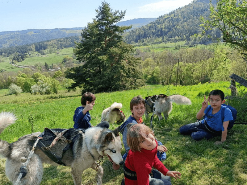 enfants et chiens cani randonnée colonie de vacances toussaint