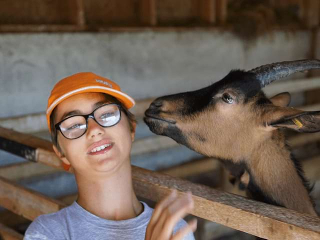 animaux de la ferme colonie de vacances enfants automne toussaint halloween