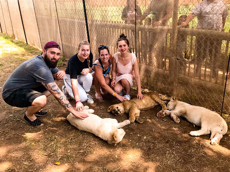 ados avec lions en colonie de vacances en Afrique du Sud