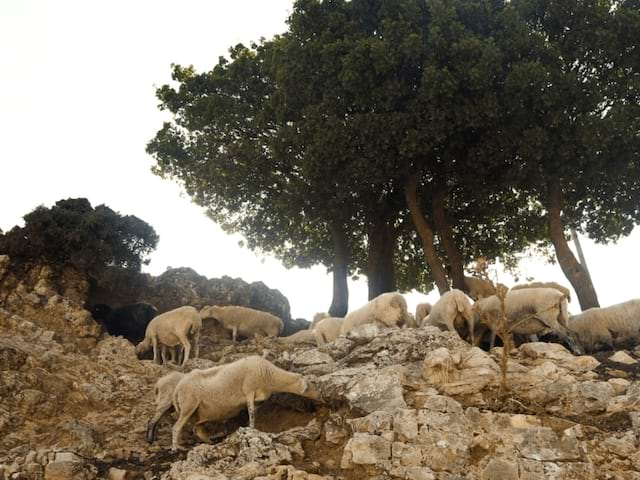 Rando en colo de vacances en Grèce à Athènes cet automne