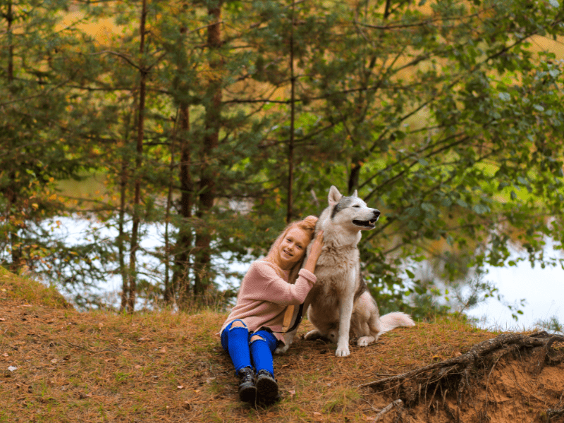 Activité cani rando en colo de vacances bien etre cet automne