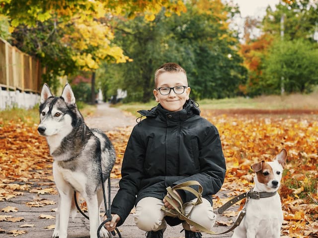 Activité cani rando en colonie de vacances durant la Toussaint
