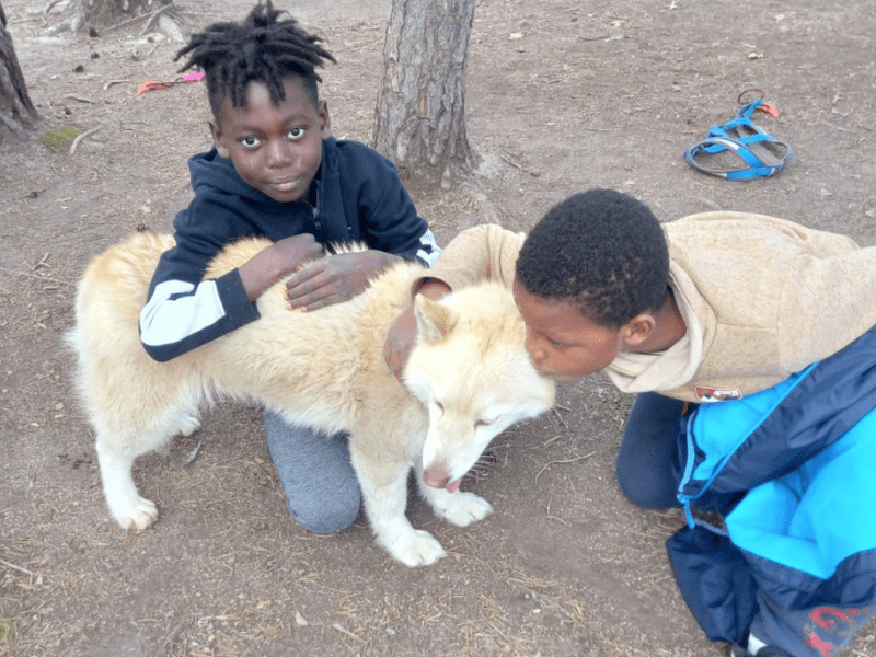 Enfants qui font de la cani rando en colo de vacances Artistique Cirque cet automne à Retournac