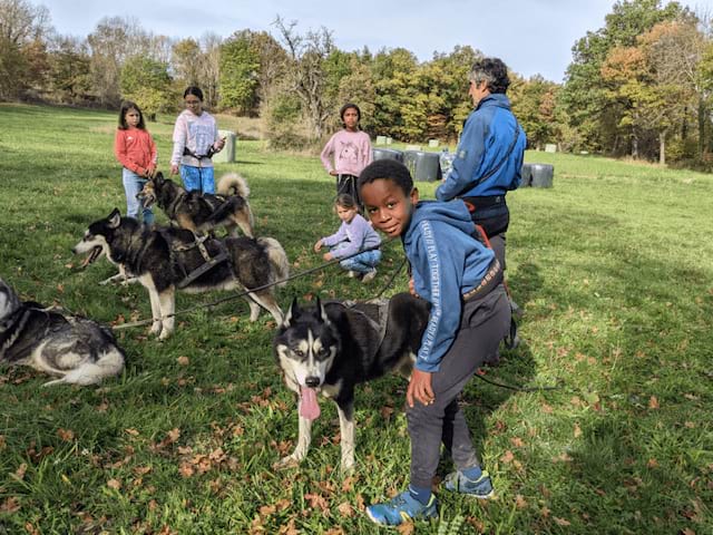Activité cani rando en colo de vacances Sciences à Hauteluce pour les 8-12 ans cet automne