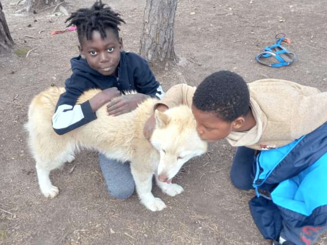 Activité cani rando en colo de vacances Sciences cet automne à Hauteluce
