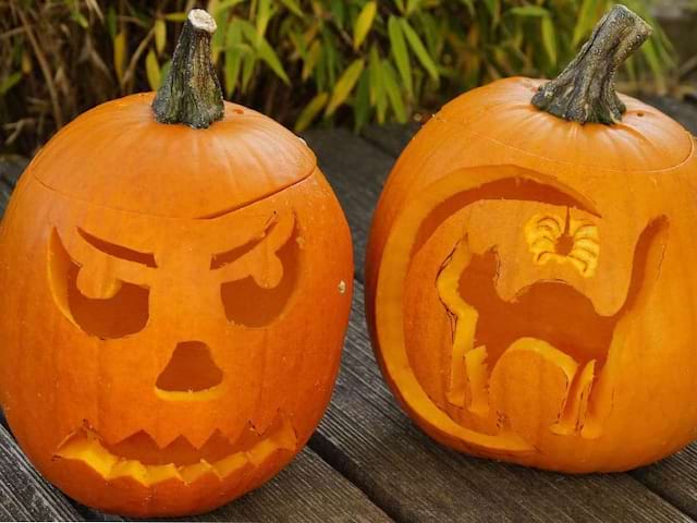 Citrouilles préparées pour Halloween en colo de vacances Equitation 