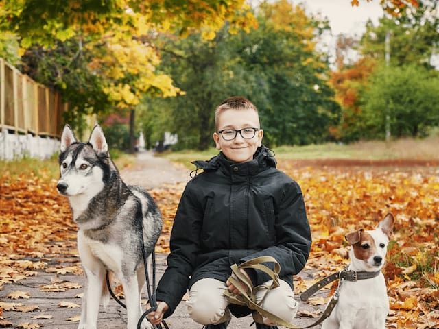Activité cani rando en colonie de vacances durant la Toussaint