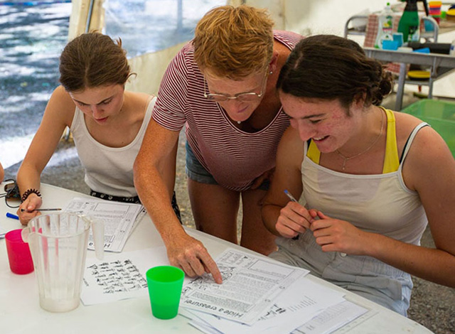 exercices linguistiques jeunes adultes en irlande toussaint