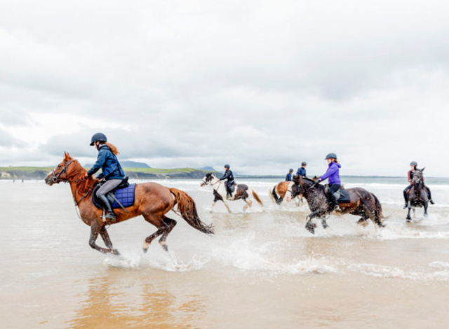 equitation plage ados en irlande toussaint