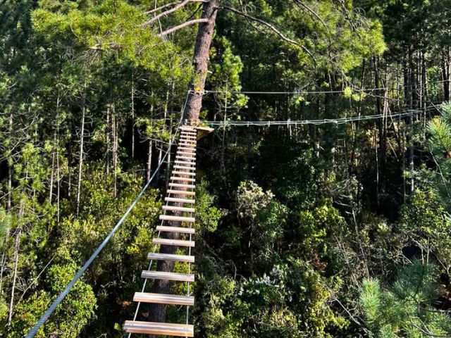 Parcours aventure en colo de vacances cet automne