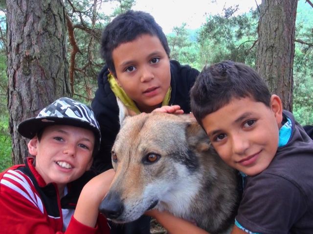 Trois amis en train de faire de la cani rando cet automne en colo de vacances