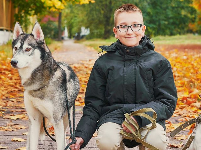 Jeune garçon en activité cani rando cet automne