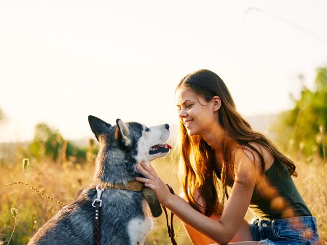 Activité cani rando en colo de vacances bien etre