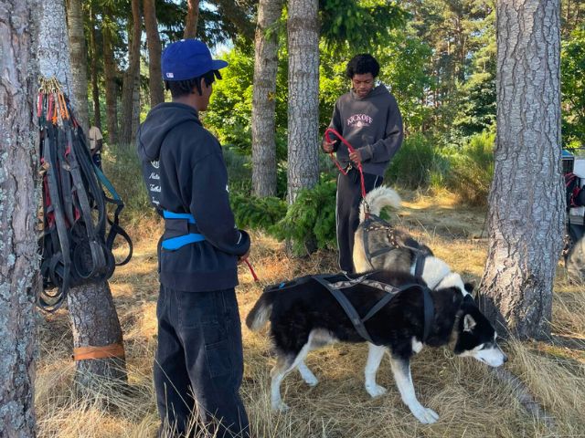 Jeunes garçons qui font de la cani rando cet automne