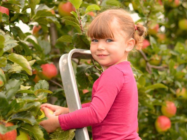Jeune fille en colonie de vacances à la ferme en Normandie
