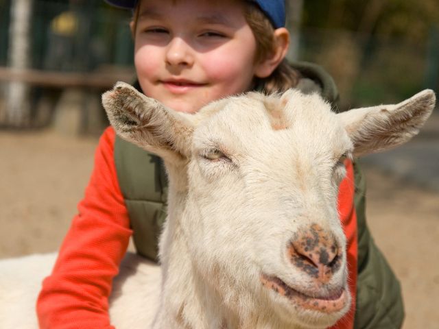 Jeune garçon en colo de vacances à la ferme cet automne