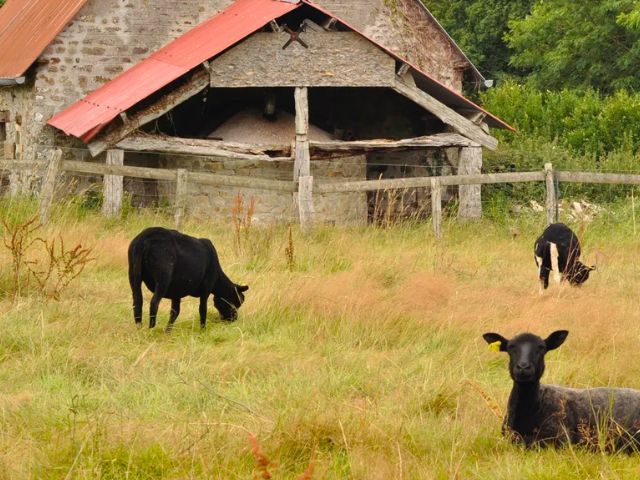 Ferme de l'escures en Normandie