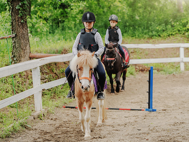 Equitation en colo vacances à la ferme pour les 4-9 ans 