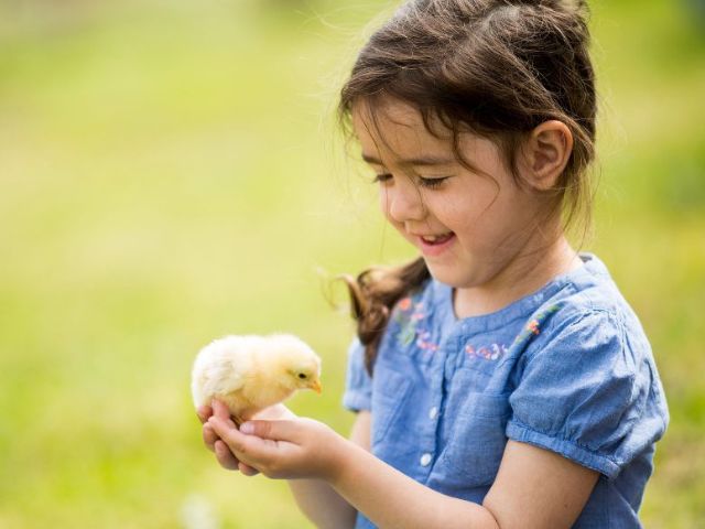 Jeune en colo à la ferme cet automne 