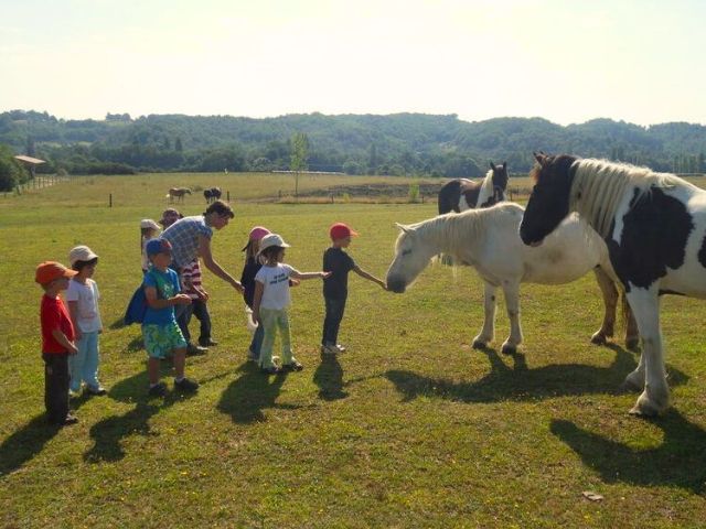Equitation en colonie de vacances à la ferme cet automne