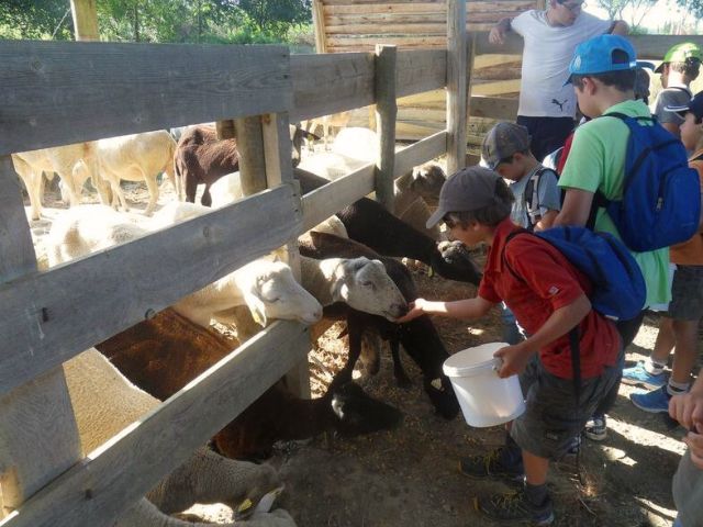 Groupe de jeunes en colo de vacances à la ferme cet automne