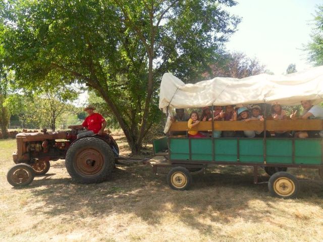 Groupe de jeunes en colo de vacances à la ferme cet automne