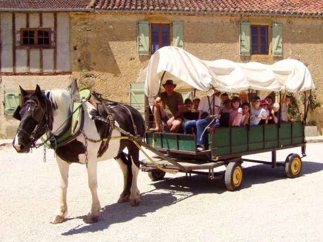 Balade en calèches en colo de vacances à la ferme pendant les vacances de la Toussaint