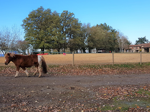 Centre de colo de vacances cet automne près d'Albi dans le Tarn