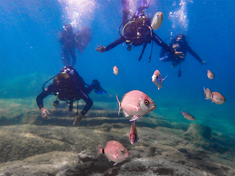 Plongée sous marine à Corfou