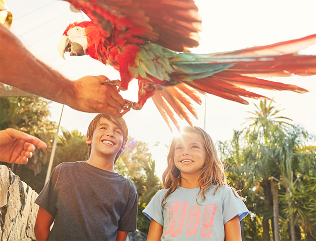 Jeunes enfants en colo de vacances à Salou 