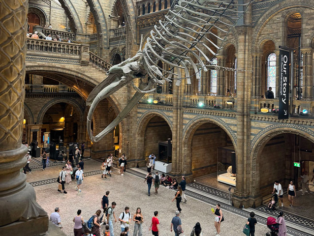Musée d'histoire naturelle en colo de vacances Fun in London cet automne