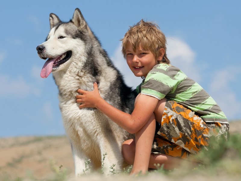 Portrait d'un enfant avec un chien en canirando