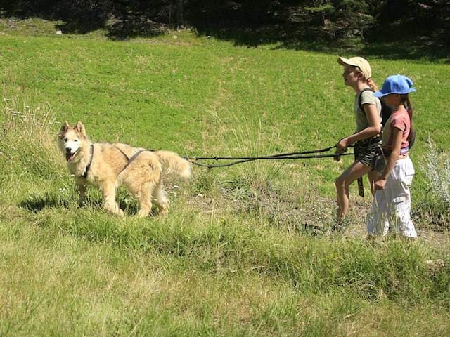 Enfants avec leur chien en canirando