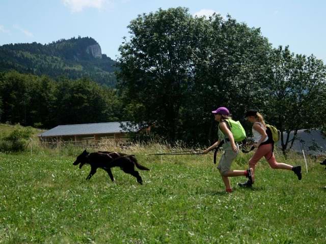 Enfant courant après un chien 