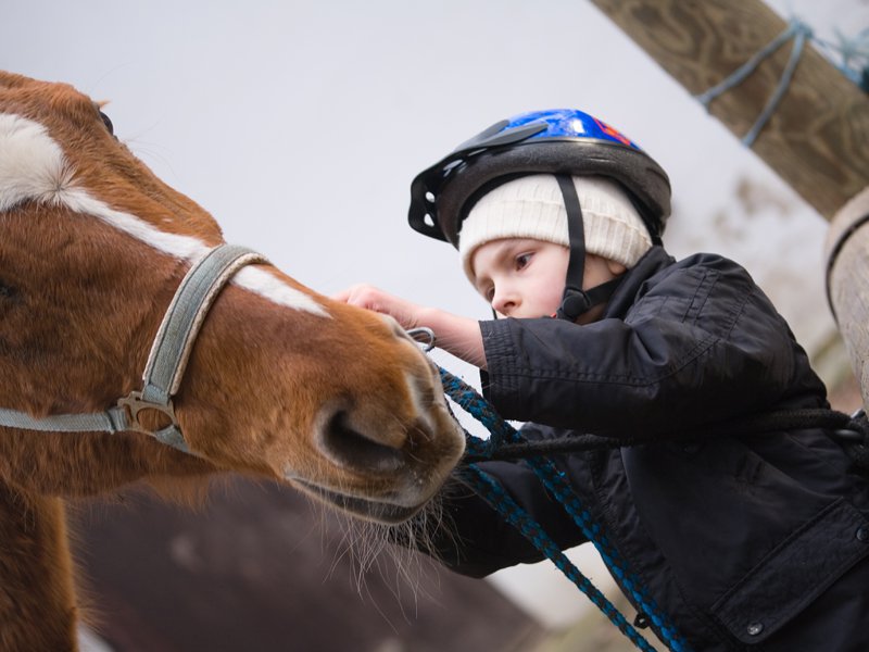 Enfant en train de s'occuper d'un poney