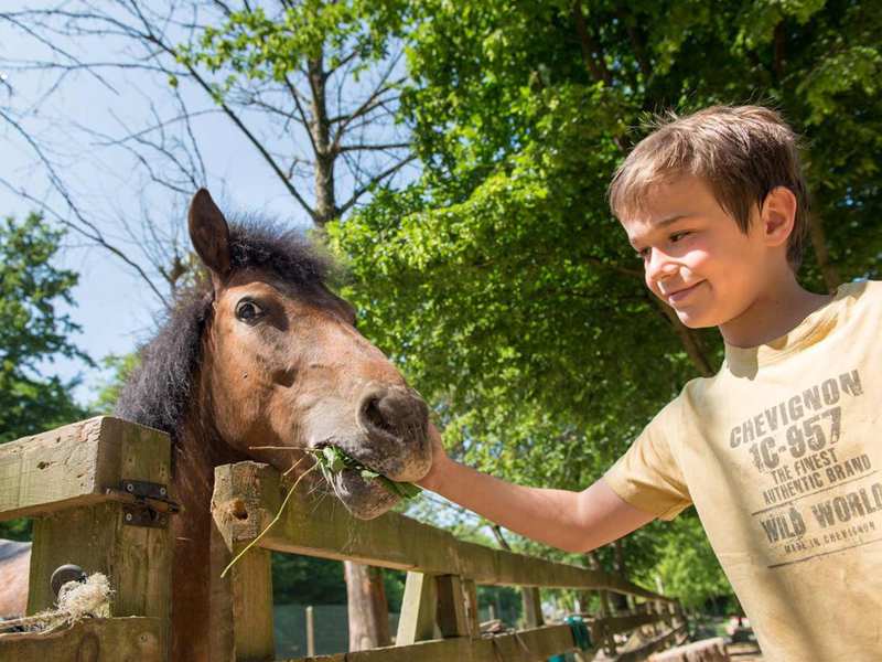 Portrait d'un enfant avec son poney