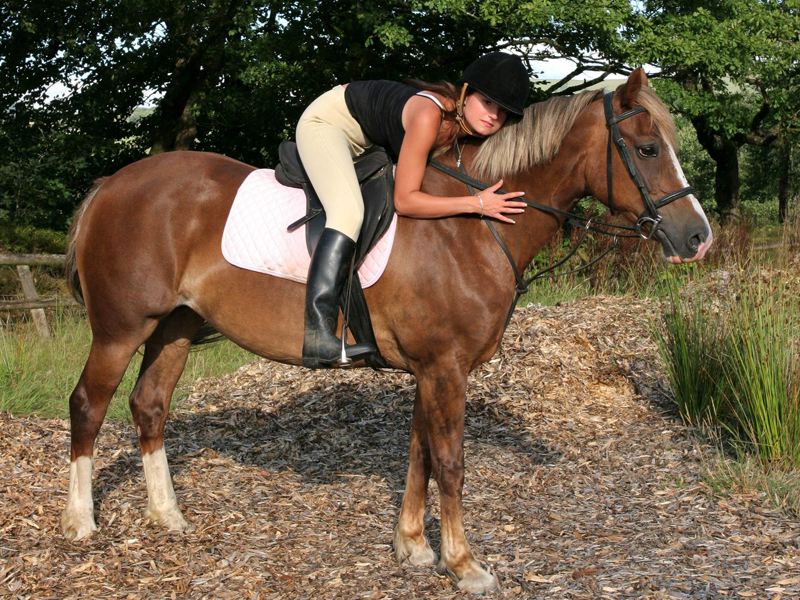 Jeune fille avec son cheval en colo