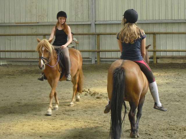 Jeunes filles sur leur cheval en manège