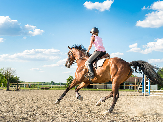 Ado au collège en train de faire de l'équitation cet automne en classe découvertes