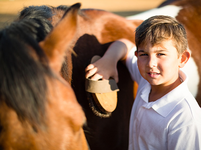 Jeune garçon en colo de vacances poney et nature cet automne 