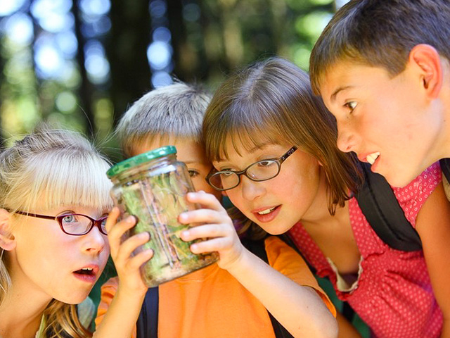 Observation de la nature en classe verte cet automne