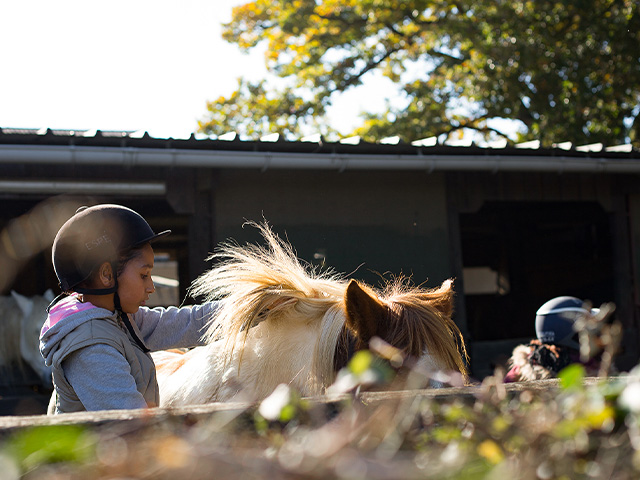 Classe découvertes équitation cet automne pour les maternals, élèves de primaire ou du collège