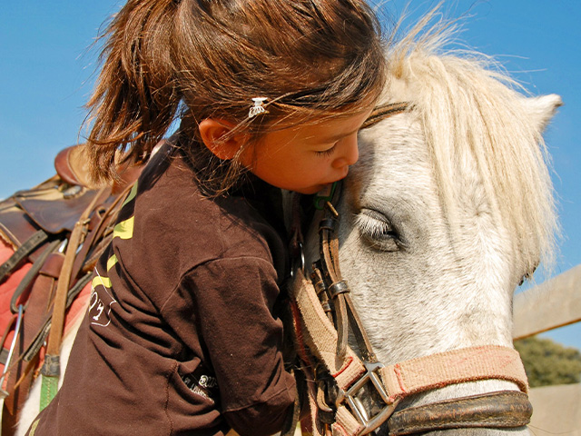 Jeune fille en classe verte équitation cet automne au domaine de l'esperance qui apprend l'équitation 