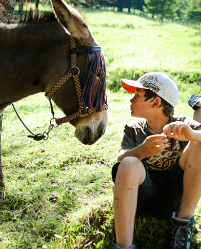Une colo au programme hors du commun cet été avec de la randonnée et des ânes
