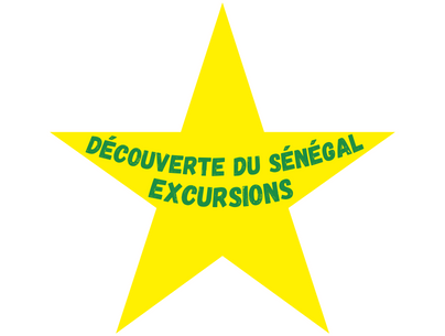 Les ados de 16 à 20 ans peuvent découvrir le Sénégal en séjour humanitaire cet été