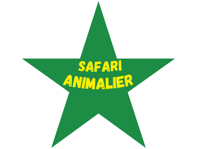 Safari animalier en colo de vacances solidaire et humanitaire cet été 