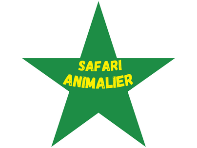 Safari animalier en colo de vacances solidaire et humanitaire cet été 