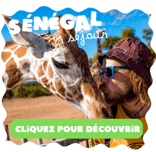 Découvrez notre colo solidaire au Sénégal prévue pour cet été 2024