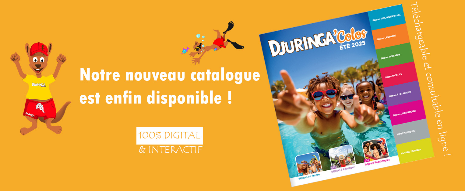 image pour l'actu sur le catalogue